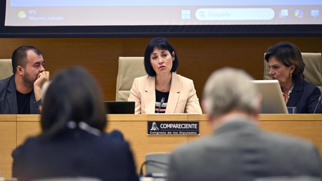 Toñi García, víctima de la dana, comparece ante la Comisión de Investigación sobre la gestión de la crisis de la riada del 29 de octubre de 2024 del Congreso de los Diputados. Efe / Fernando Villar