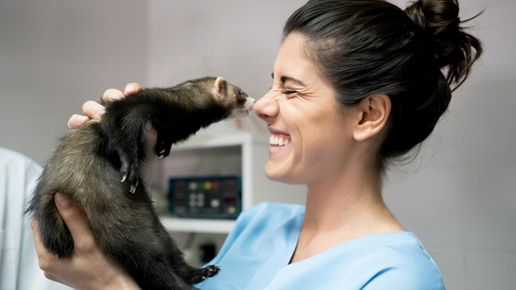 Una veterinaria con un hurón.