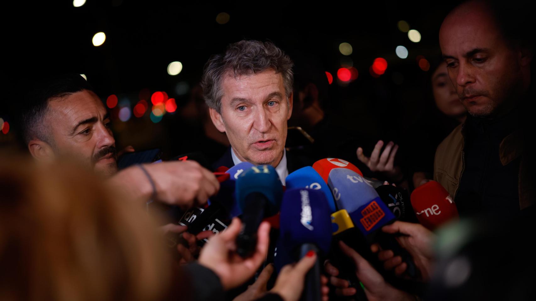 El presidente del Partido Popular, Alberto Núñez Fejióo.