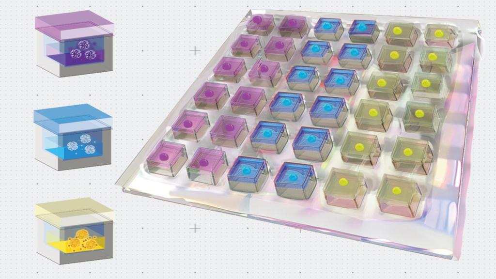 Diseño del parche para el corazón del MIT.