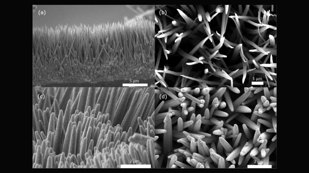 Detalle de las nanoagujas de cobaltato