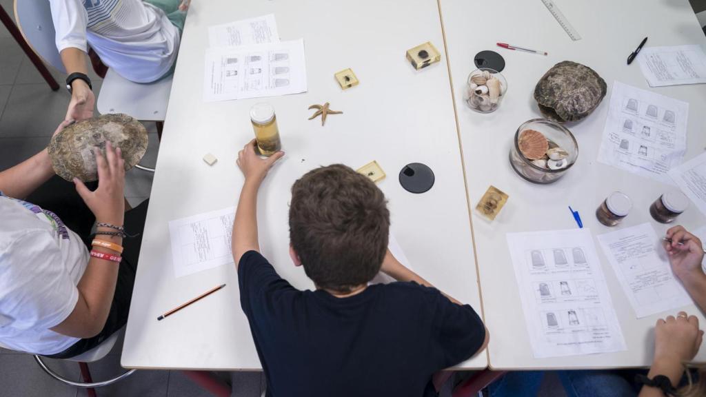 Niños en un colegio.