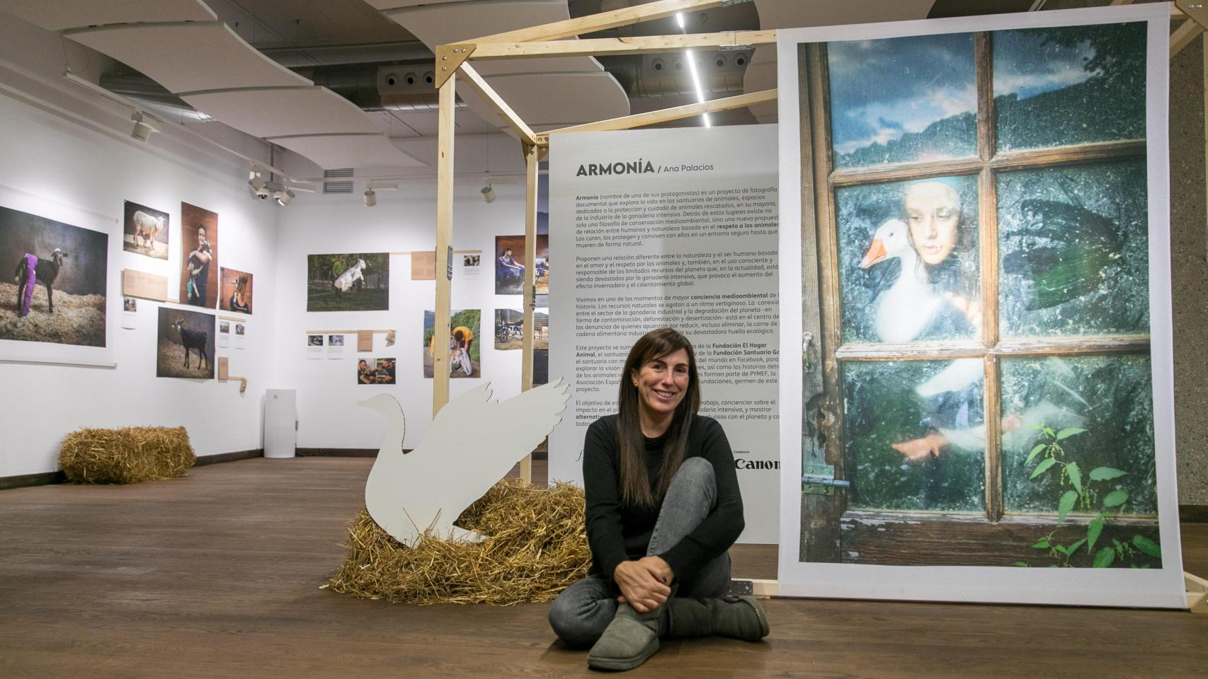 Ana Palacios en su exposición 'Armonía'.