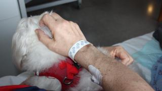 Pacientes de paliativos del hospital de A Coruña, reunidos con sus perros.