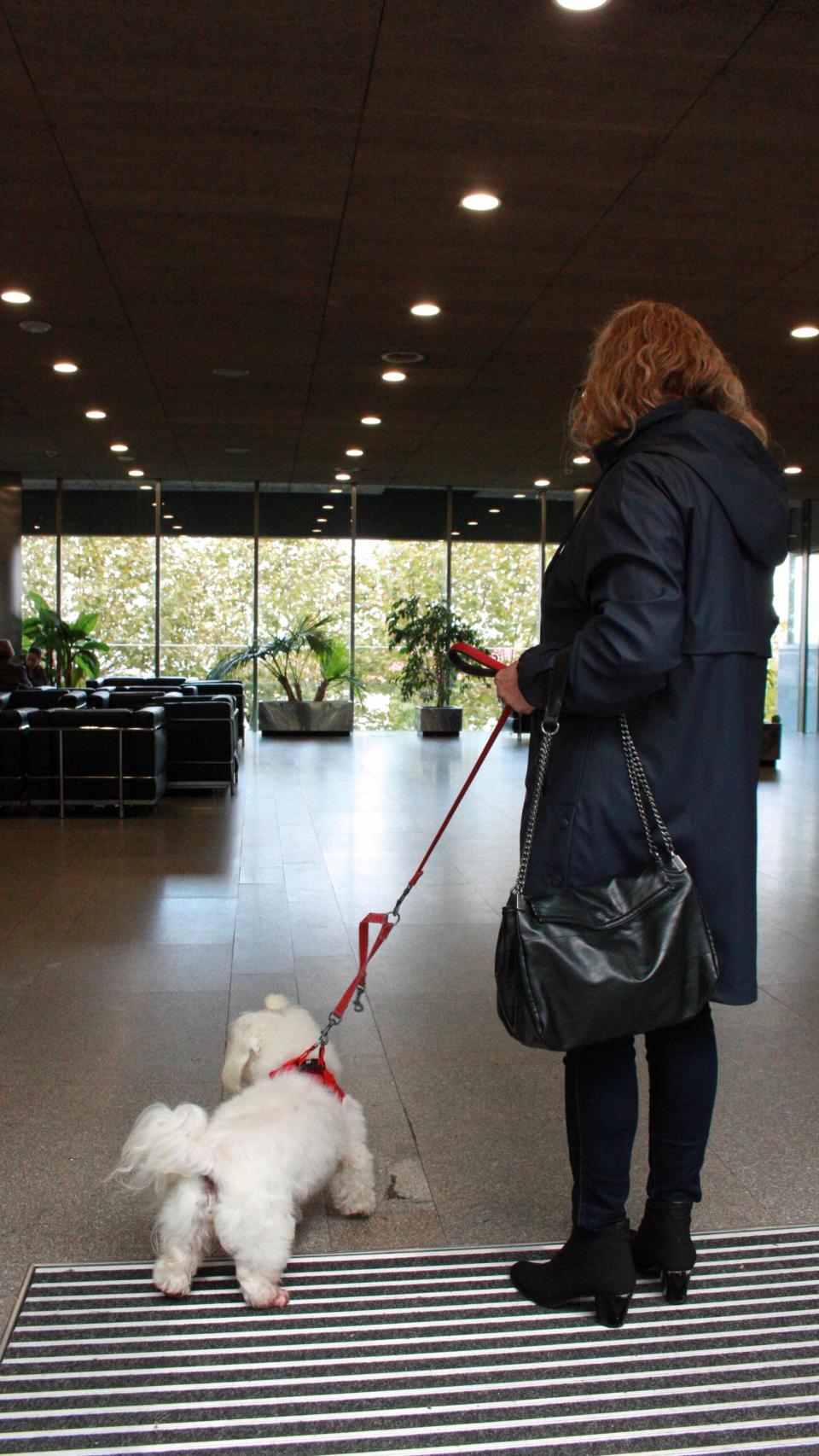 Una paciente reunida con su perro gracias al programa 'Coa tua mascota'.