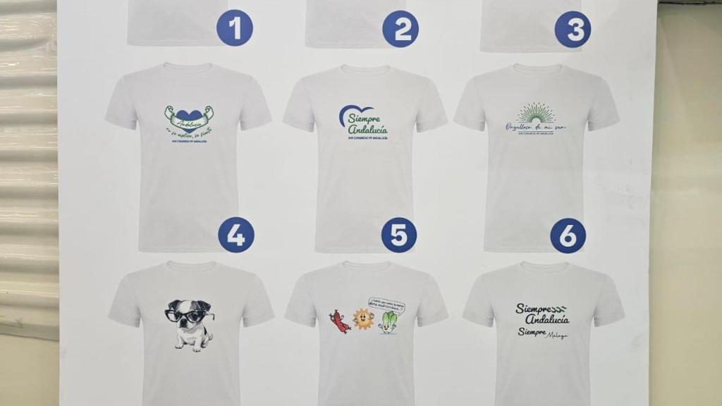 Modelos de camisetas que  se pueden comprar en Congreso, incluida la del perro con gafas.