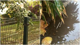 Miedo en el parque canino de Santa Margarita, en A Coruña: Está complemente destrozado e insalubre