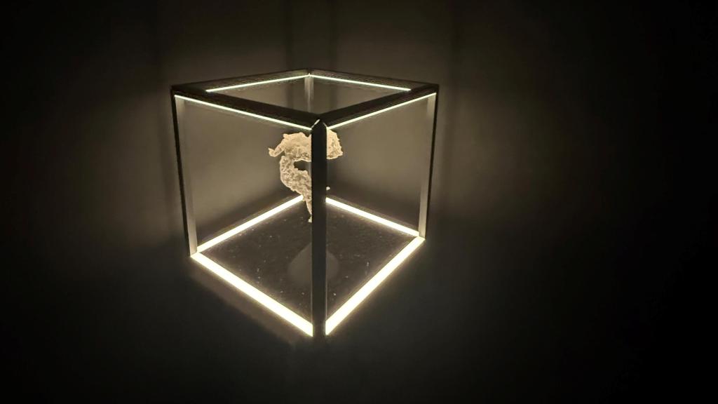 'Espectro' de Eduardo de Elío Ontiveros.