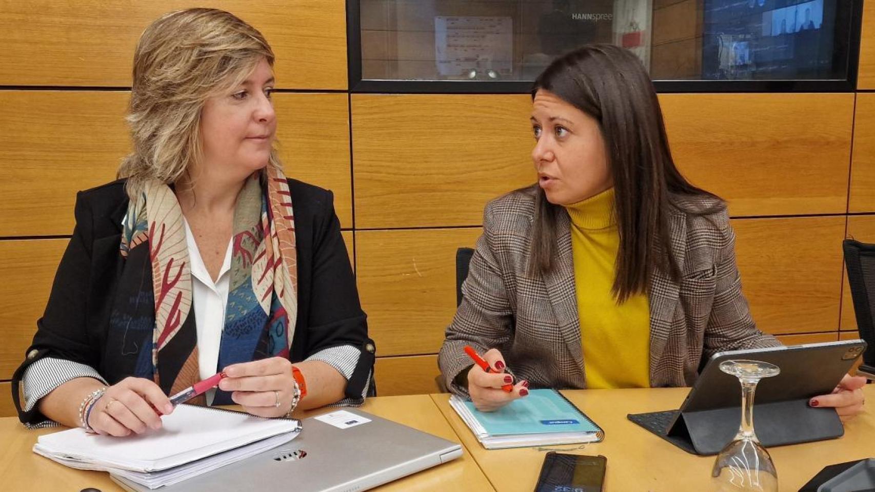 García Torijano en la Conferencia Sectorial celebrada hoy en el Ministerio con las comunidades autónomas.