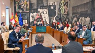 Pleno de la Diputación de Ciudad Real.