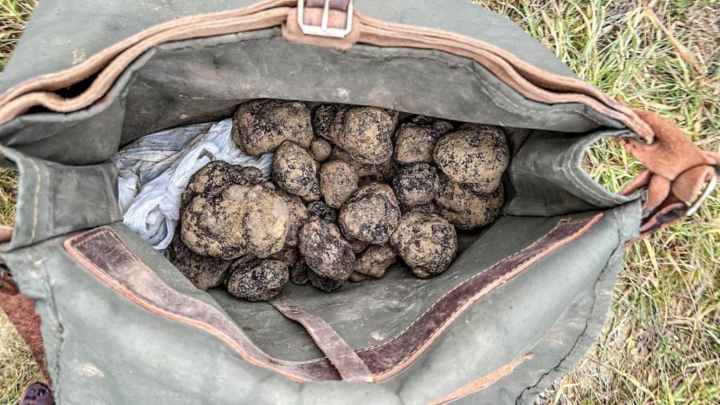 El morral del cazador aragonés de trufas Félix Día.