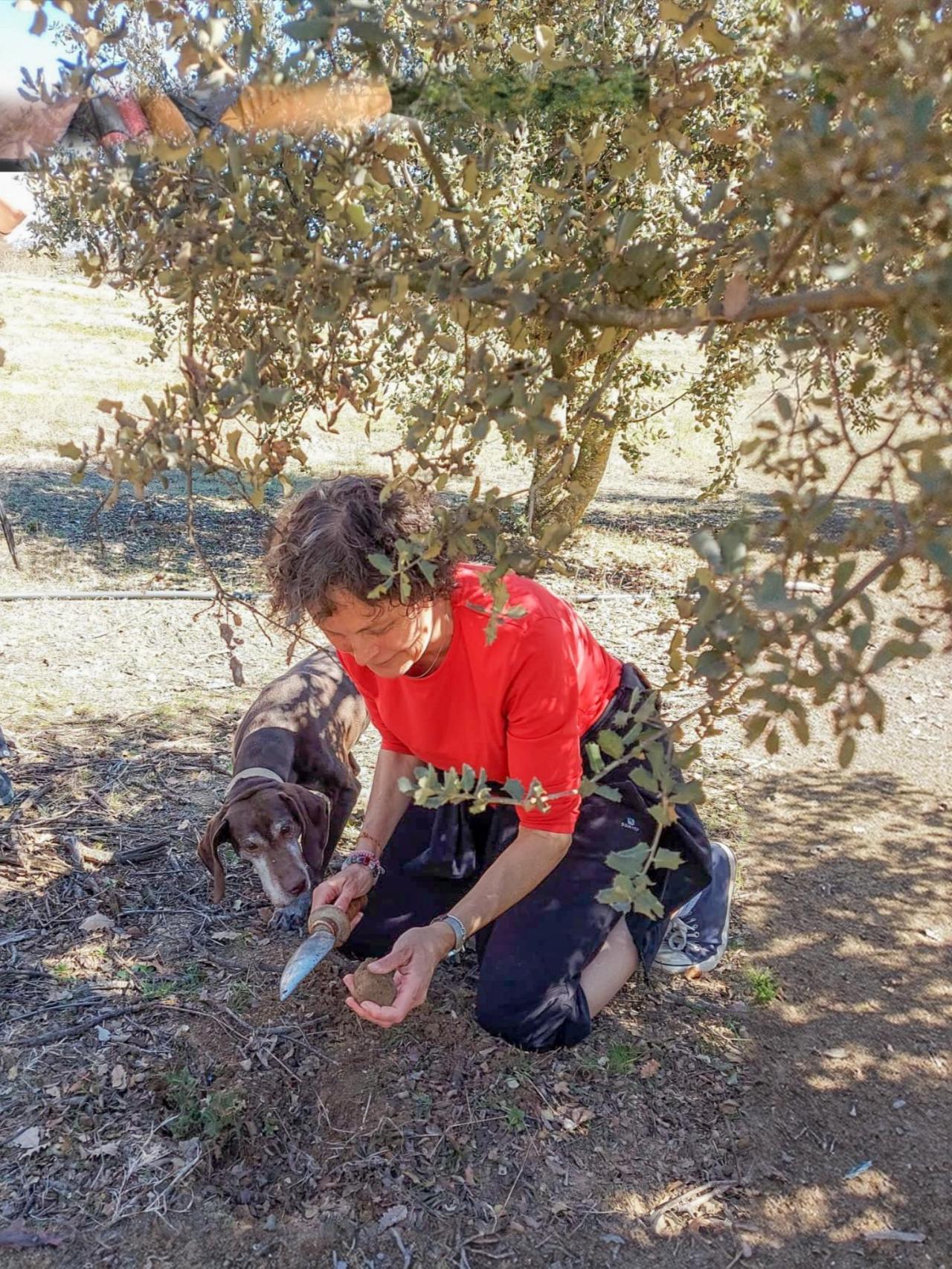 La truficultora Tere Salamero, de Bellestar (Graus), a pie de carrasca.
