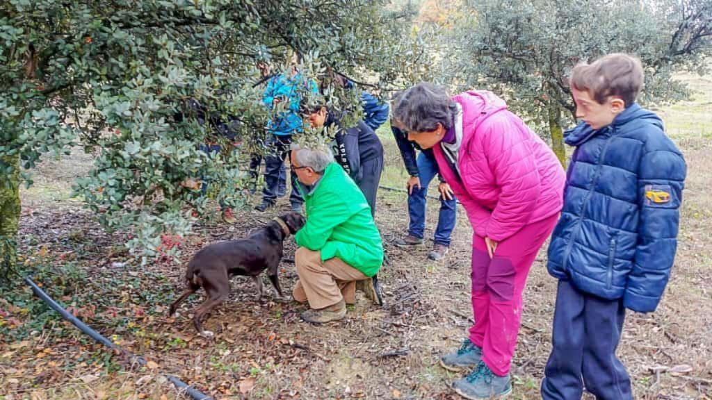 De izquierda a derecha, la perrita Boli, el cazador de trufas Ficente, la truficultora Tere Salamero y su hijo.