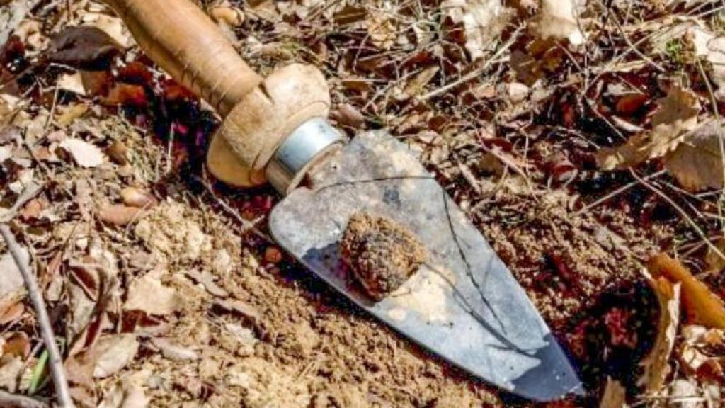 Con el puñal, en el trufero.