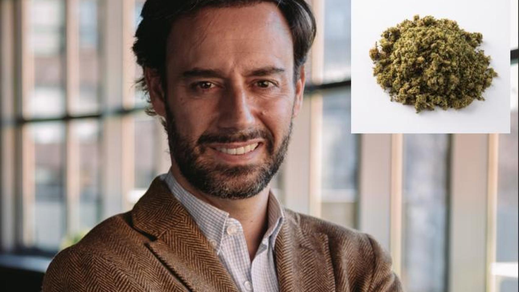 Borja Iribarne es el fundador y CEO de la empresa ProfesorCBD.
