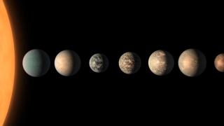 El planeta TRAPPIST-1e (en el centro, representado aquí junto a los otros seis planetas del sistema y su estrella) es un candidato para albergar vida.