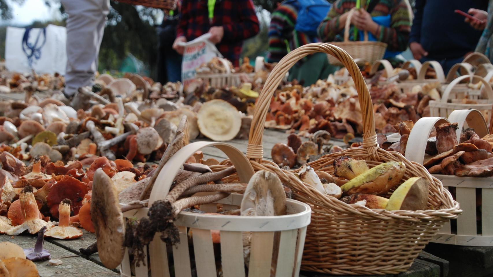 Foto: Diputación de Toledo.
