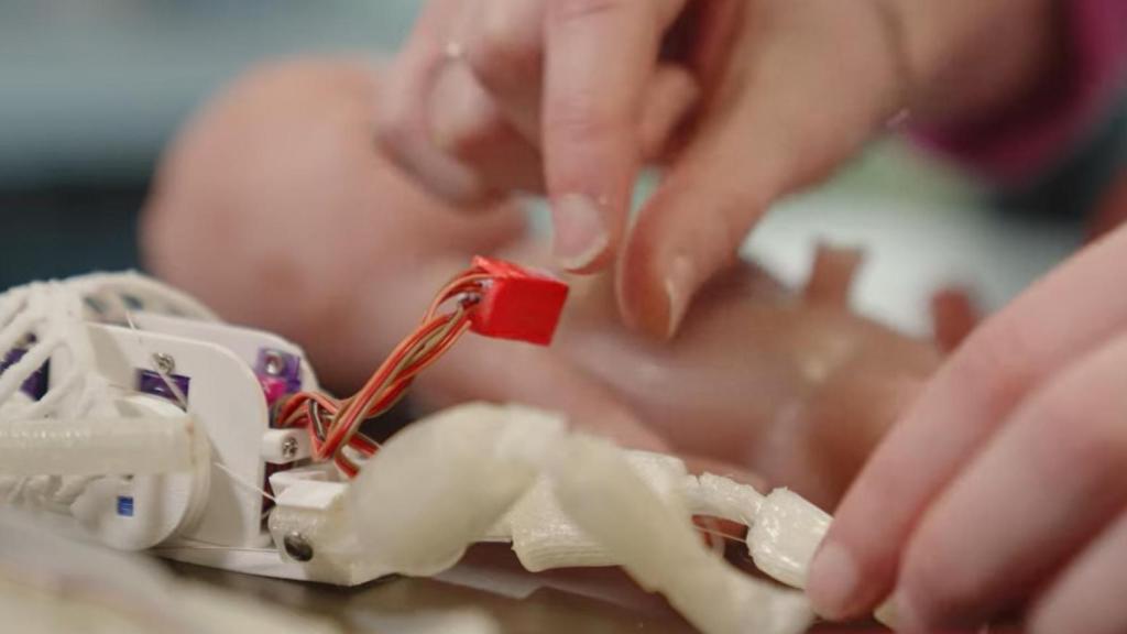 Esqueleto interno del maniquí robótico