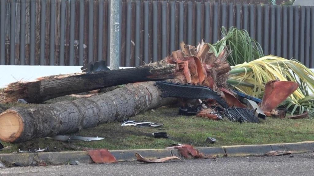 Así quedó el sitio del accidente de Cayetano Rivera: restos y palmeras caídas