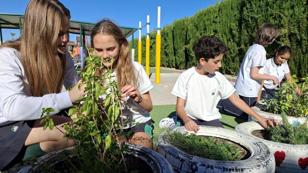 Estudiantes de ELIS Villamartín.