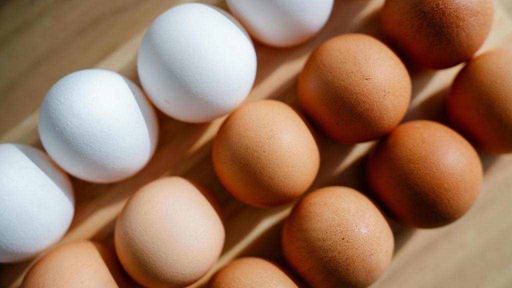 Huevos morenos y blancos.