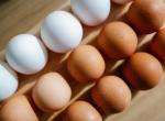 La gripe aviar dispara el miedo a la especulación con el precio de la docena de huevos por encima de los 3,10 euros