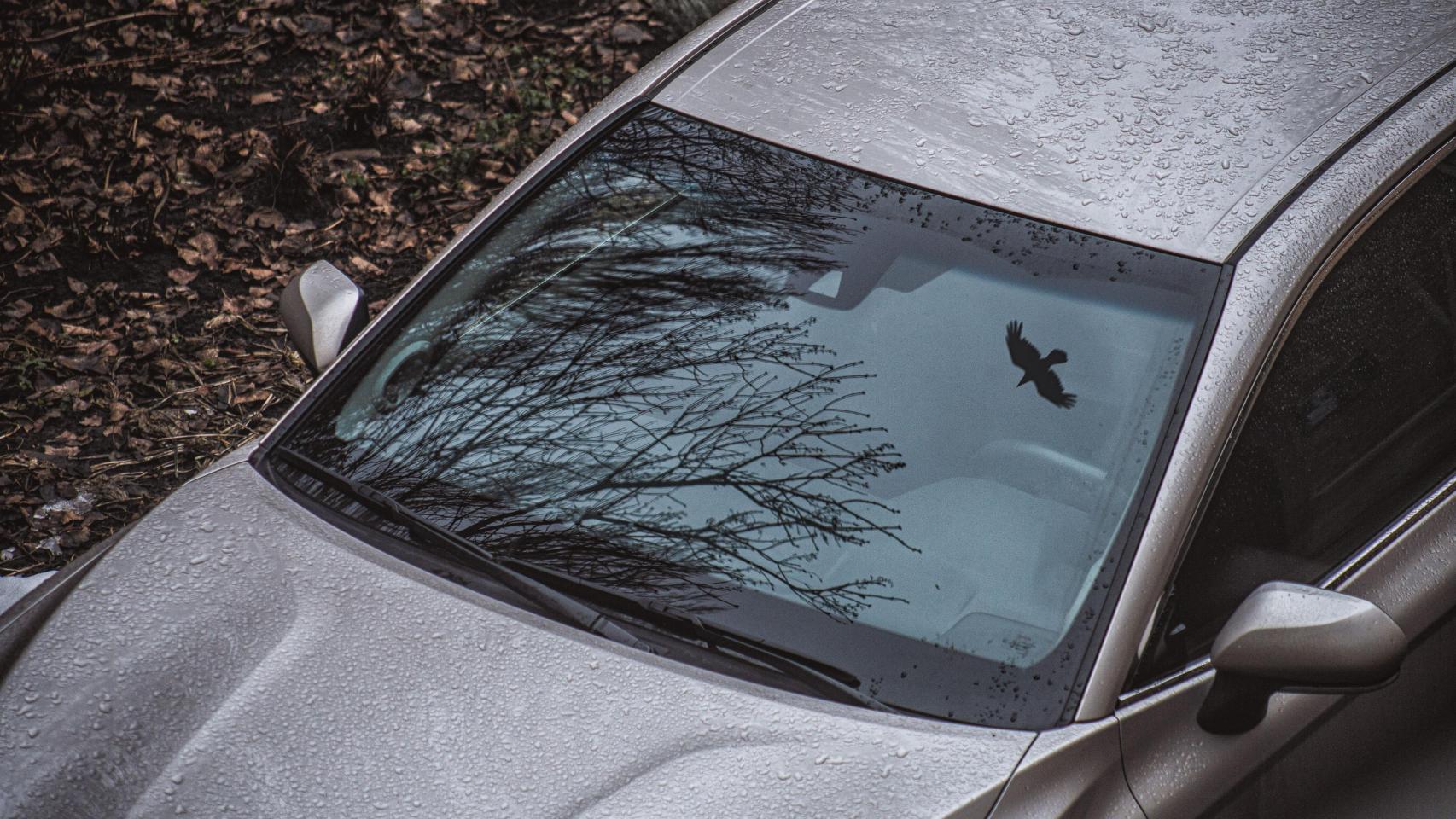 Un mecánico español desmiente el mito de este elemento en los cristales en los coches