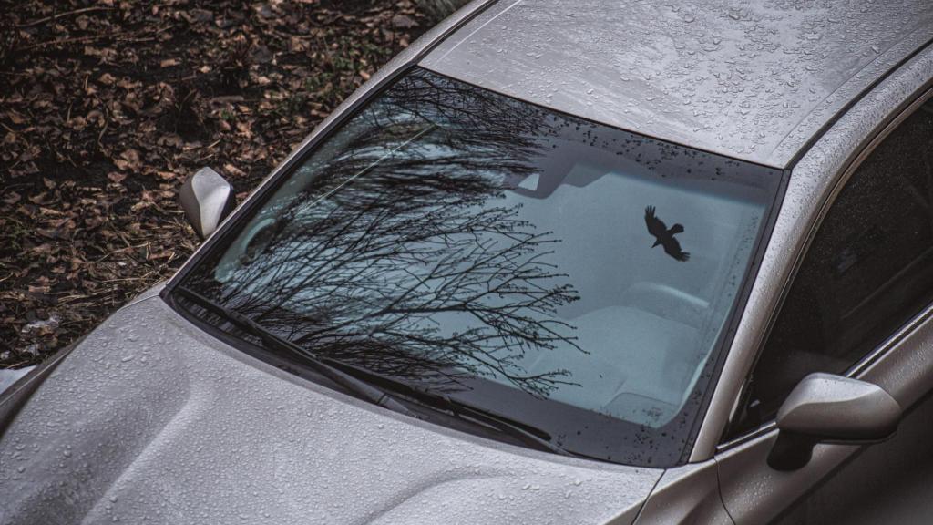 Un mecánico español desmiente el mito de este elemento en los cristales en los coches