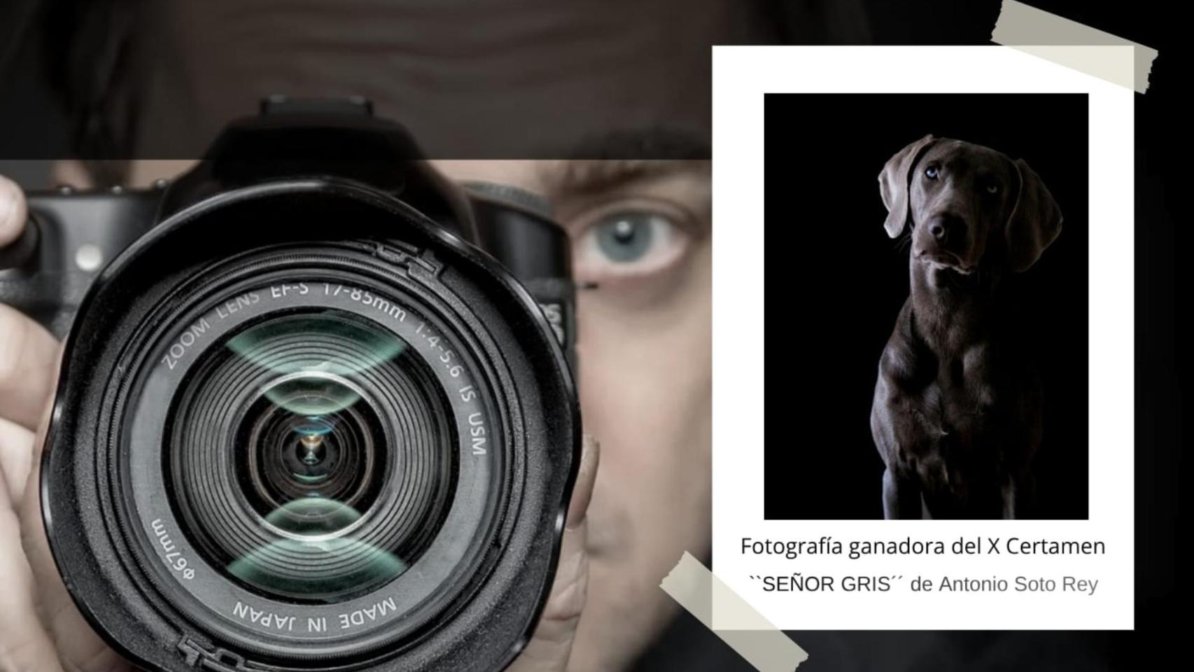 Últimos días para mandar las fotos de tus mascotas al concurso de fotografía de Cancoruña