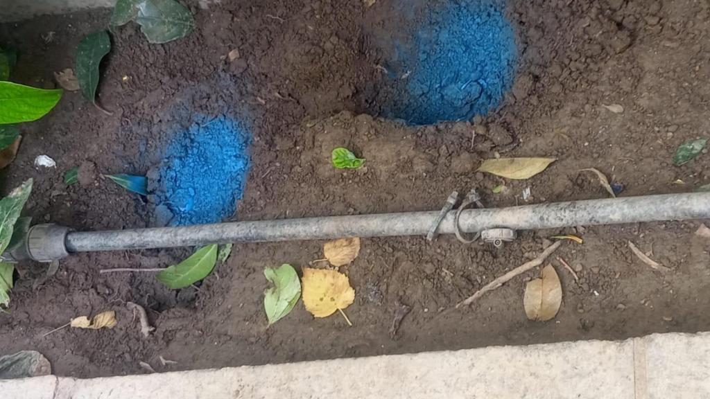 Imágenes del raticida colocado en diversos puntos de la plaza Salamero.