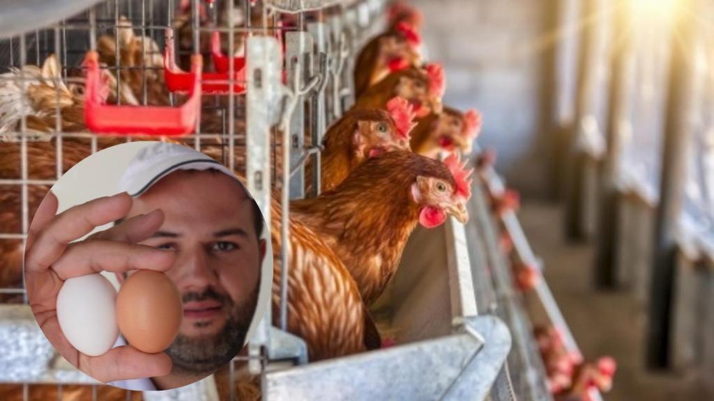 Montaje de Joan con gallinas (Europa Press).