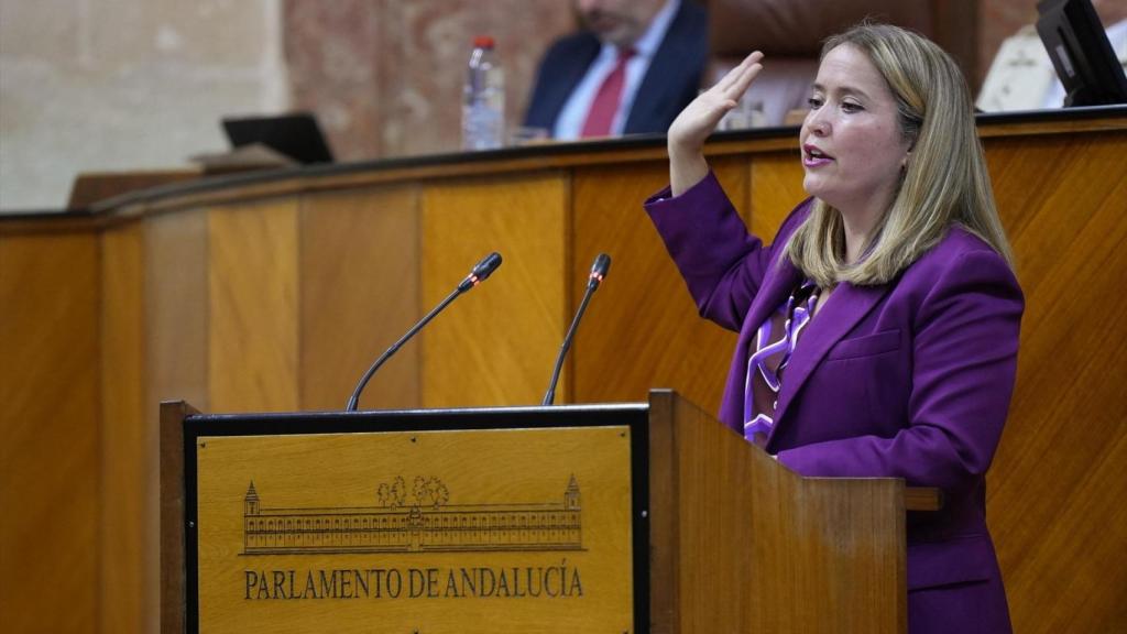La diputada socialista Alicia Murillo.