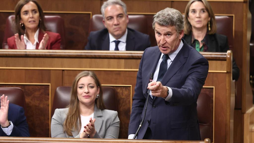 El presidente del PP, Alberto Núñez Feijóo, este miércoles durante la sesión de control al Gobierno, en el Congreso de los Diputados.