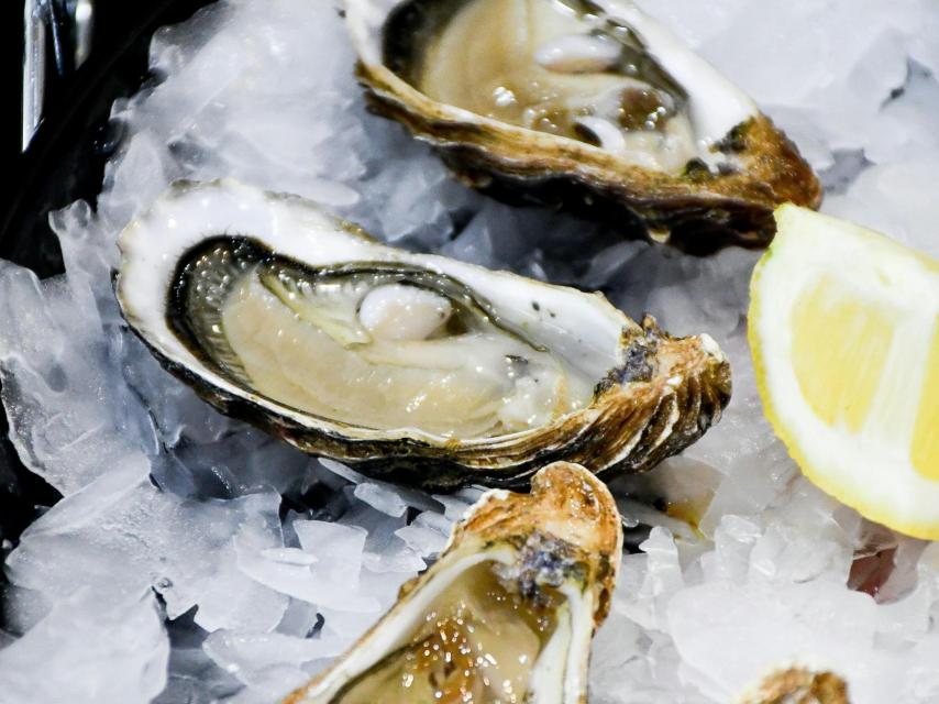 Imagen de archivo de unas ostras.