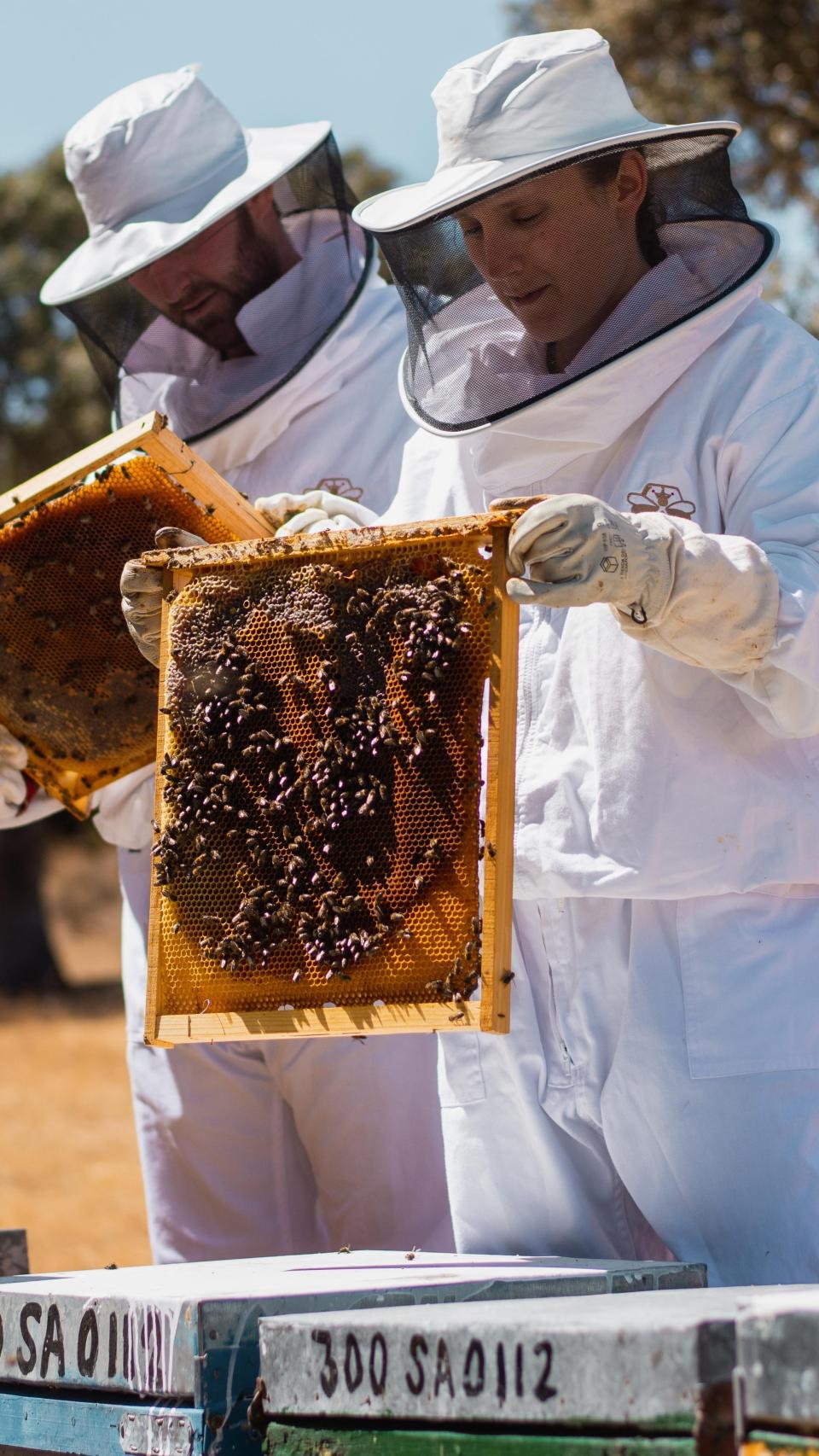 Roberto y Mónica con colmenas de abejas