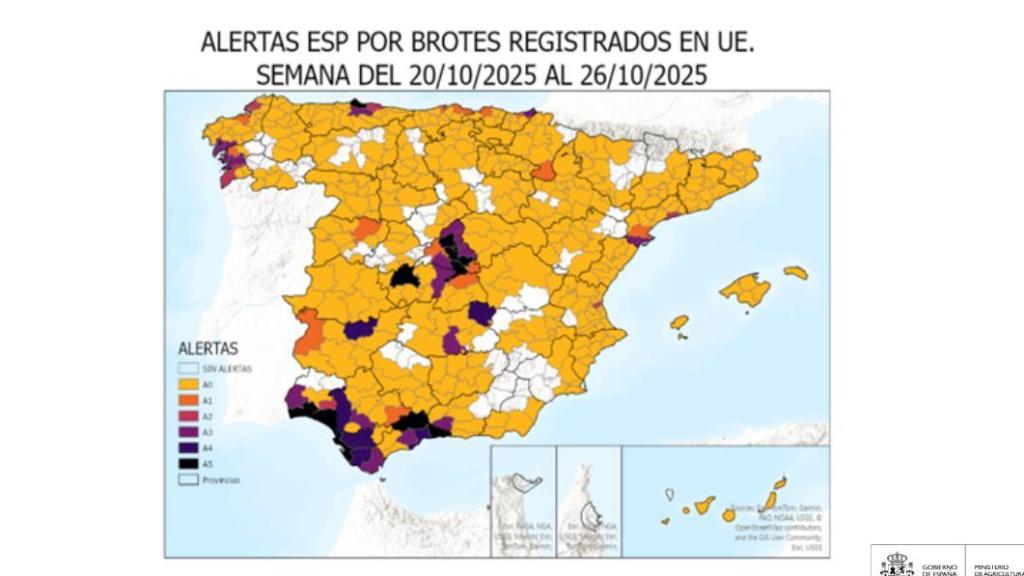 Datos con los que contaban las administraciones a finales de octubre sobre el riesgo de gripe aviar.
