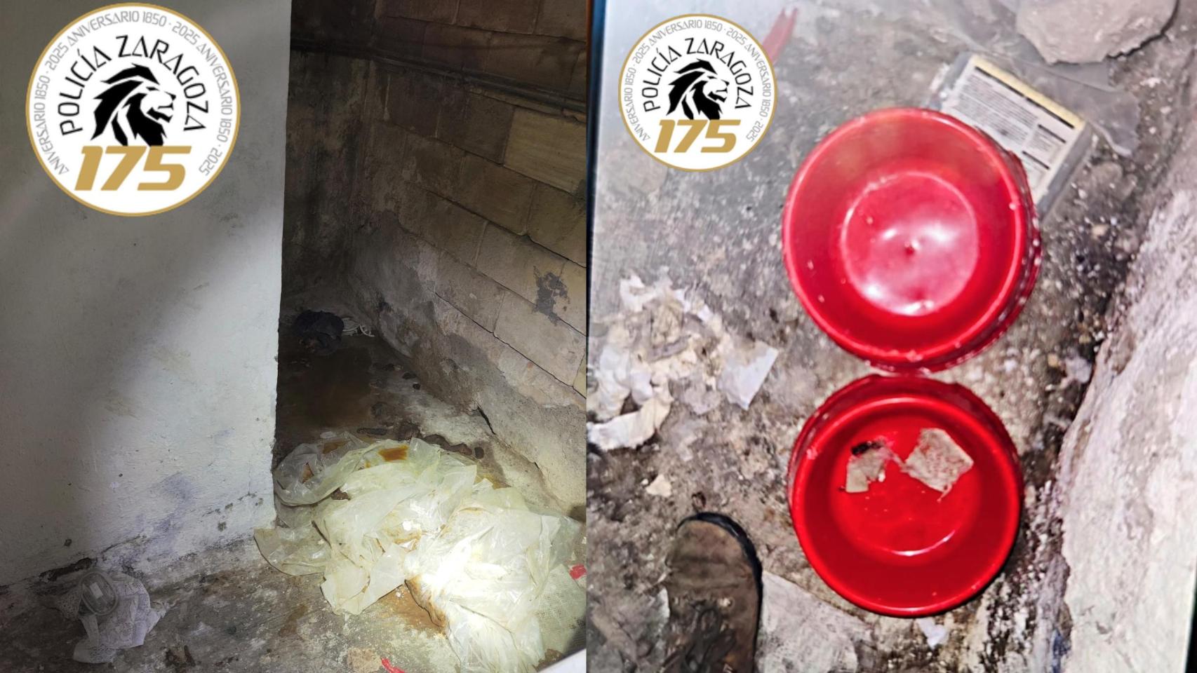 Domicilio en el que se encontraban tres perros en Zaragoza