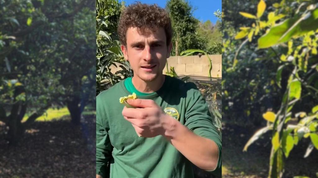 Marc Ortega, agricultor. EE