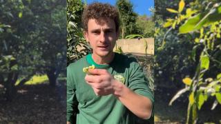 Marc (23), agricultor, denuncia que el 40% de la fruta que se vende en supermercados sea importada: Hunde mi trabajo