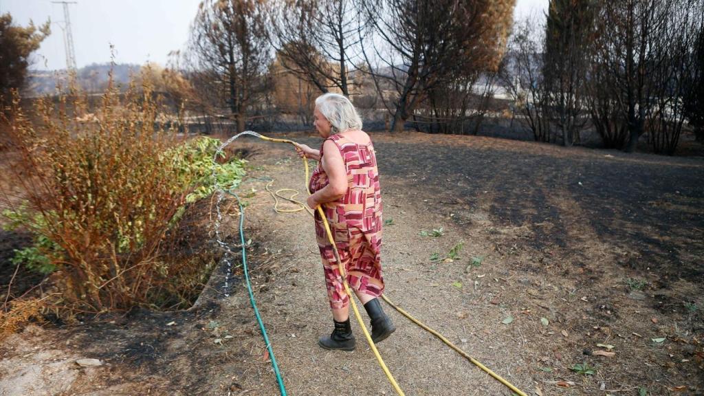 Una mujer fotografiada por los medios mientras refresca el terreno para que no se reproduzca el fuego tras los incendios de agosto en Ourense, a 21 de agosto de 2025.