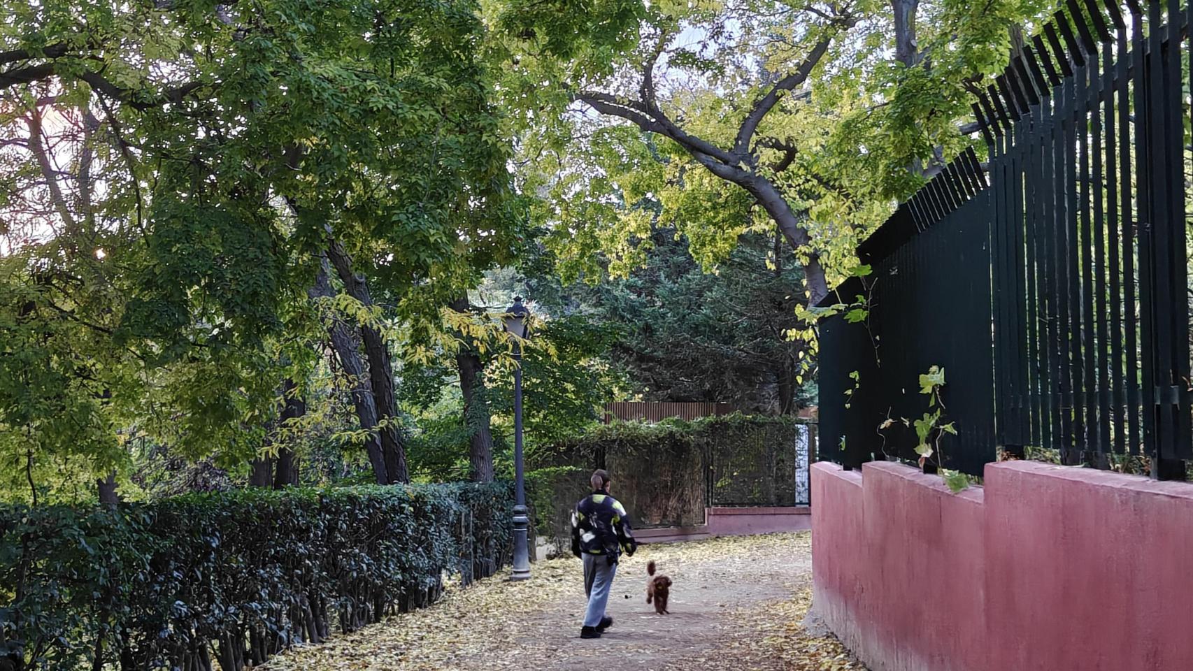 Foto hecha al anochecer con el OnePlus 15