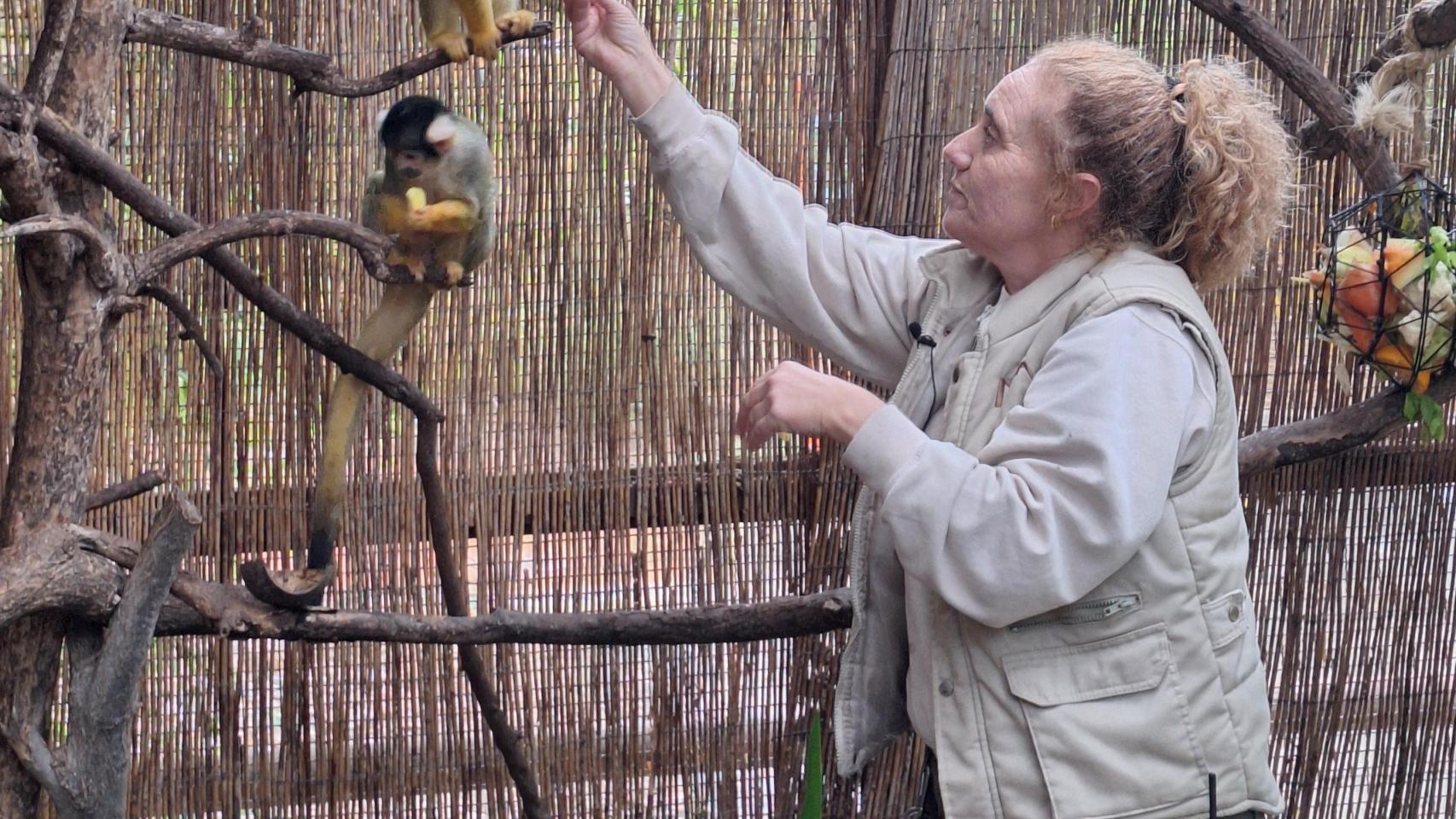 Los monos de Terra Natura.