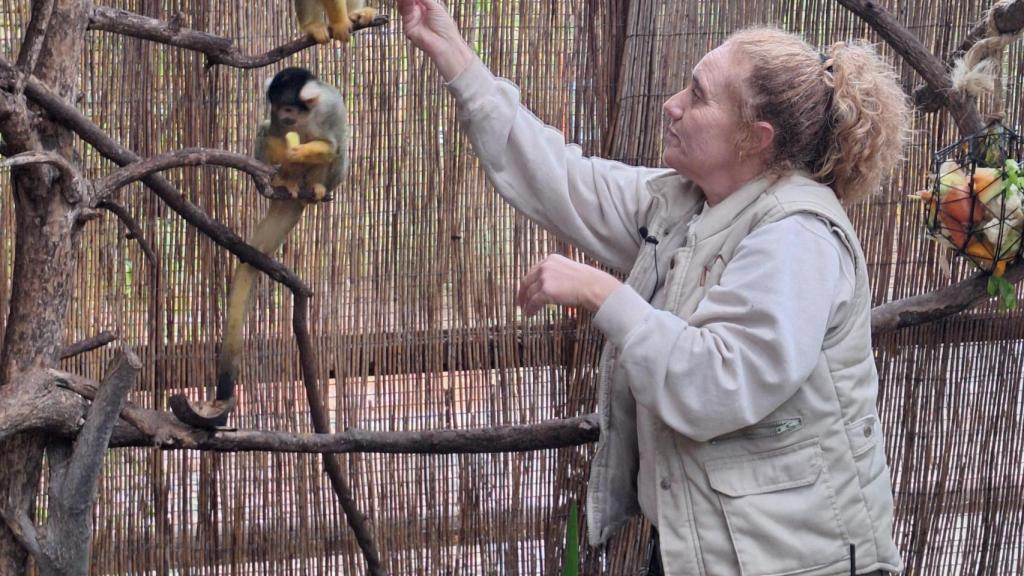 Los monos de Terra Natura.