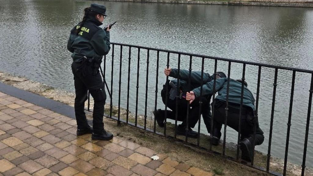 La Guardia Civil salva a un hombre de ahogarse en el Canal de Castilla, en Medina de Rioseco