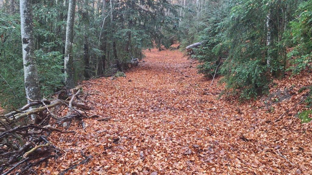 Sendero del Sobrarbe (Huesca)