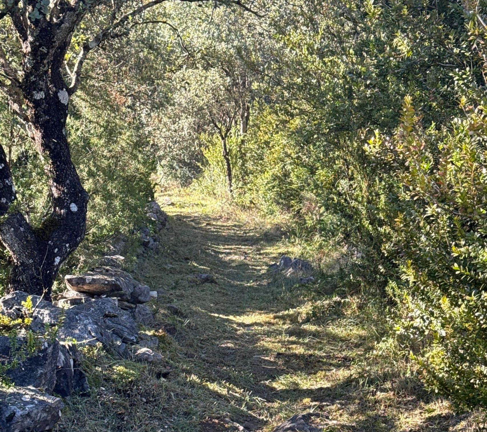Sendero del Sobrarbe (Huesca).
