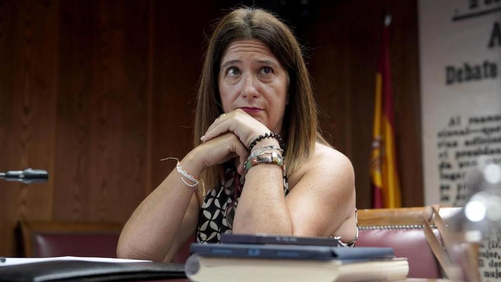 Leire Díez, en la 'comisión Koldo' del Senado.