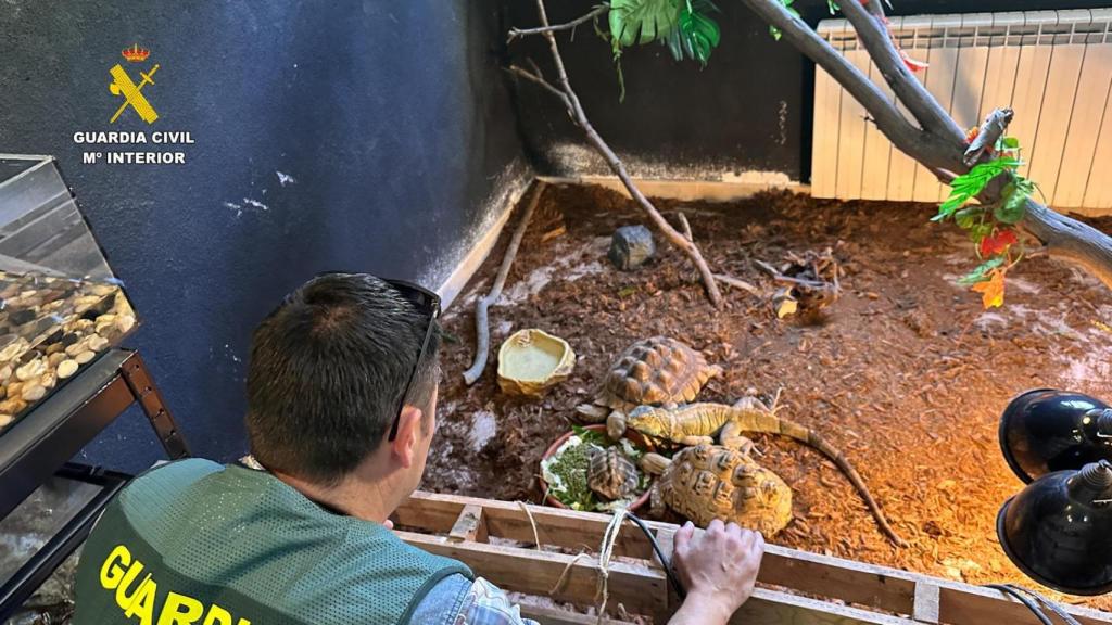 La Guardia Civil, a su llegada al falso refugio