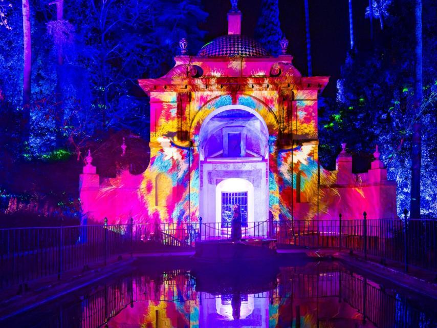 ARRAS- Naturaleza Encendida.