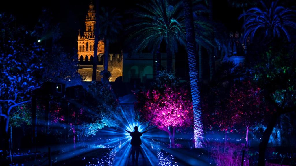 Arras - naturaleza encendida.